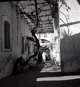 TLEMCEN 504- RUE DANS VIEUX TLEMCEN COLLECTION DES AMIS DE ND DE SANTA CRUZ
